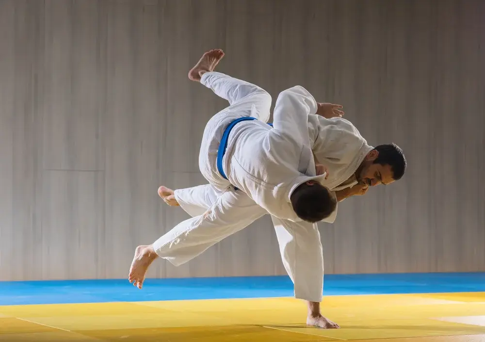 Judo collection cover