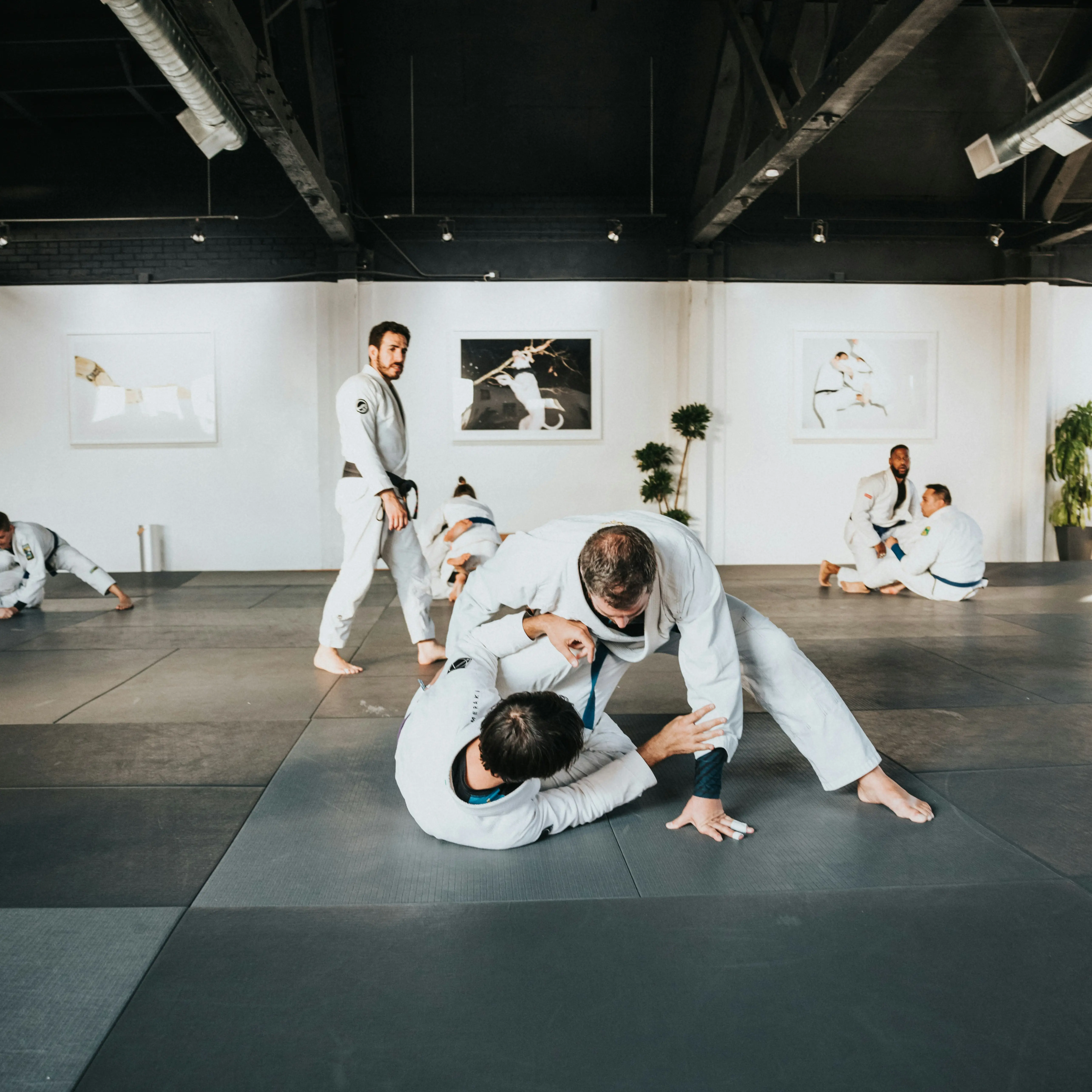 Jiu Jitsu collection cover